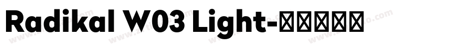 Radikal W03 Light字体转换